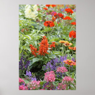 Póster Flores de la primavera