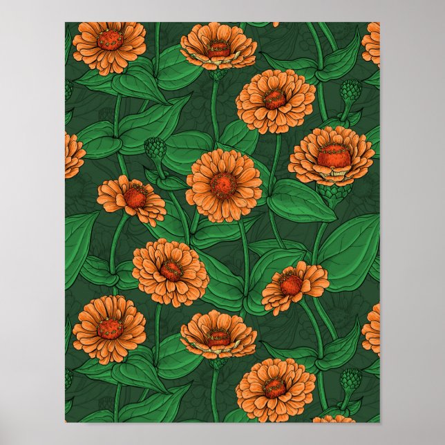 Póster flores de la zinnia naranja, hojas verdes sobre ve (Frente)