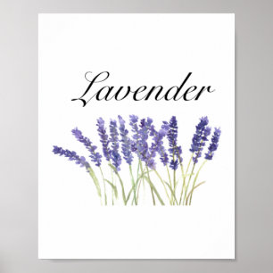 Póster Flores de lavanda acuarela hierbas púrpura chic