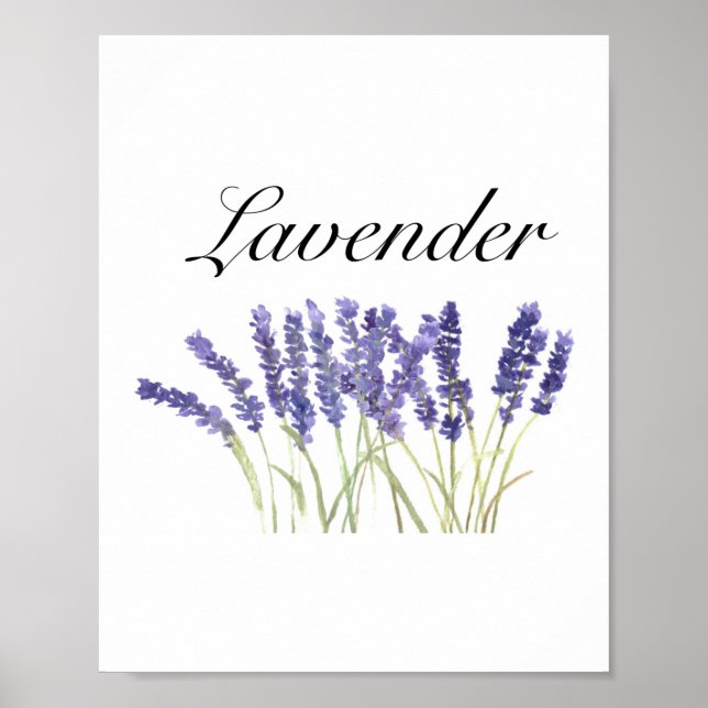 Póster Flores de lavanda acuarela hierbas púrpura chic (Frente)