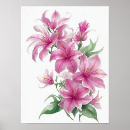 Póster Flores de Lily Oriental Rosa