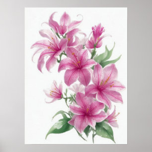 Póster Flores de Lily Oriental Rosa