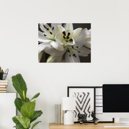 Póster Flores de lirio blanco oriental