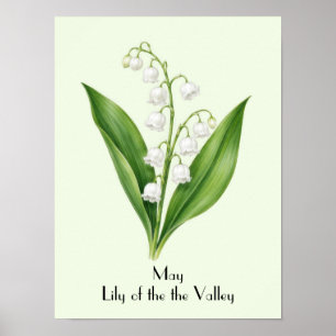 Póster Flores de lirio de mayo en el valle