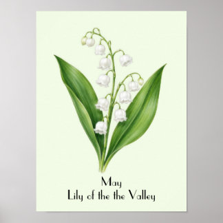 Póster Flores de lirio de mayo en el valle