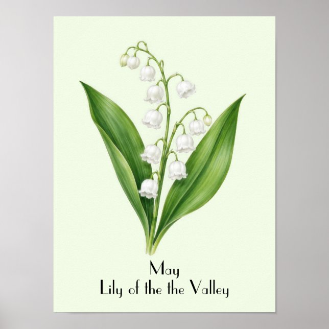 Póster Flores de lirio de mayo en el valle (Frente)