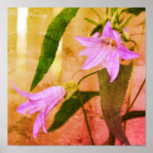 Póster Flores De Lirio Morado Delicado Molestias