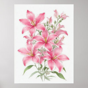 Póster Flores De Lirio Rosa