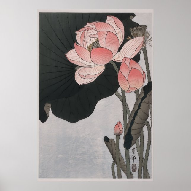 Póster Flores de loto florecientes (1920-1930) (Frente)