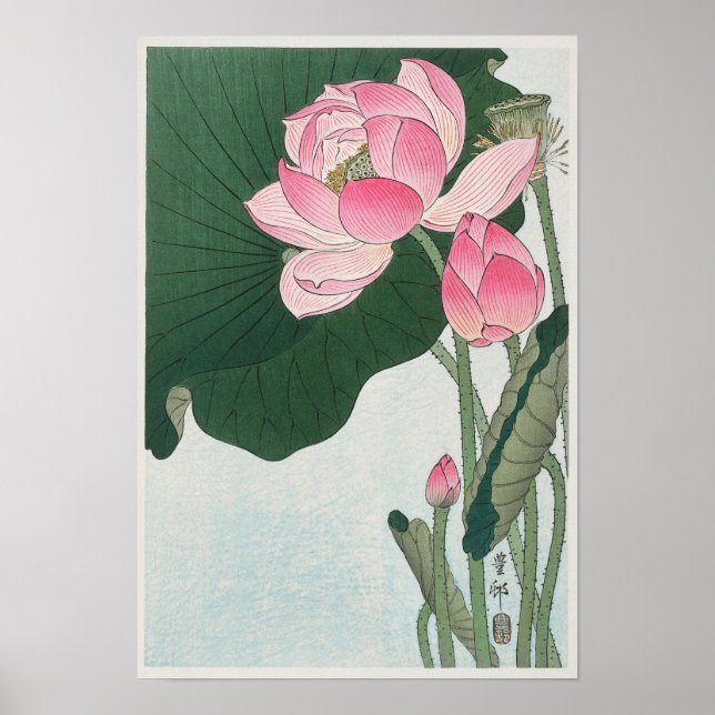 Póster Flores de Lotus antiguas florecientes en Japón (Frente)