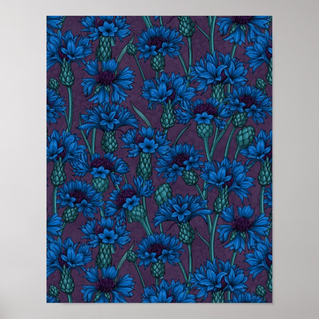 Póster Flores de maíz azules, flores silvestres (Frente)