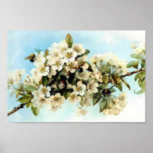 Póster Flores de manzana antiguas