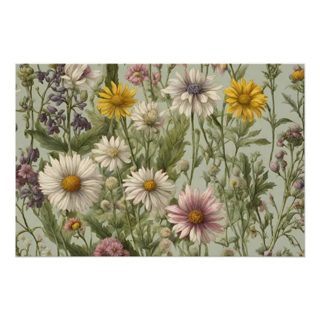 Póster Flores de margarita y flores silvestres antiguas (Anverso)