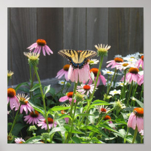 Póster Flores de mariposa y cono
