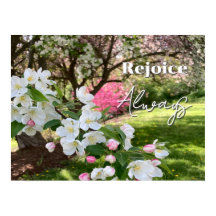 Flores de Mayo Rosadas Regocíjense Siempre
