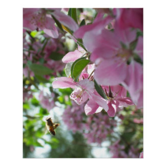 Póster Flores de miel de abeja y cangrejo