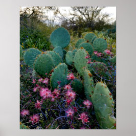 Póster Flores de mostaza de hadas rosadas y cactus de ore