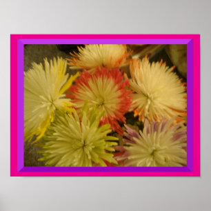 Póster Flores de muchos colores Poster
