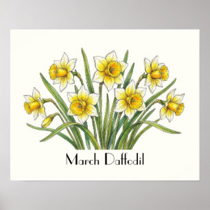 Póster Flores de Narciso de Marzo