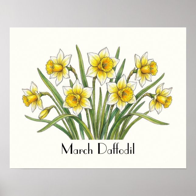 Póster Flores de Narciso de Marzo (Frente)