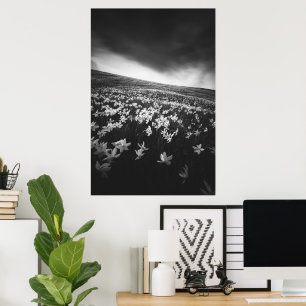 Póster Flores de Narciso en la montaña Golica, Eslovenia