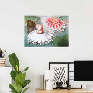 Póster Flores de nenúfares en un estanque