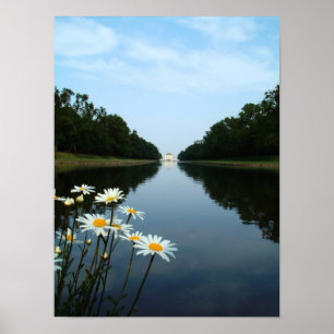 Póster Flores de Nymfenburg