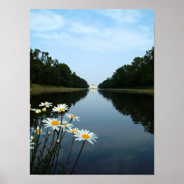 Póster Flores de Nymfenburg (Frente)