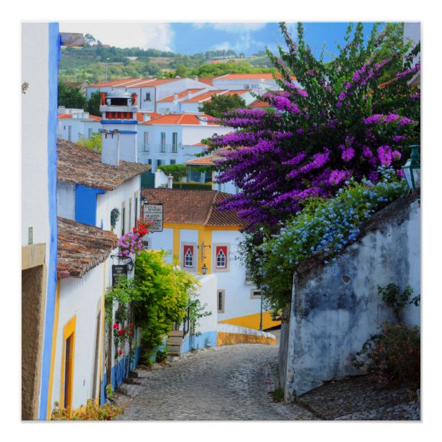 Póster Flores de Obidos, Portugal (Anverso)