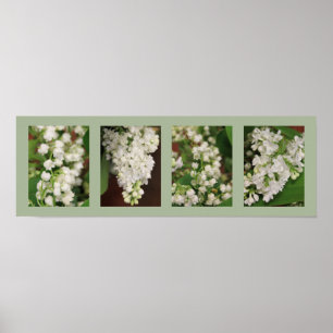 Póster Flores de Office