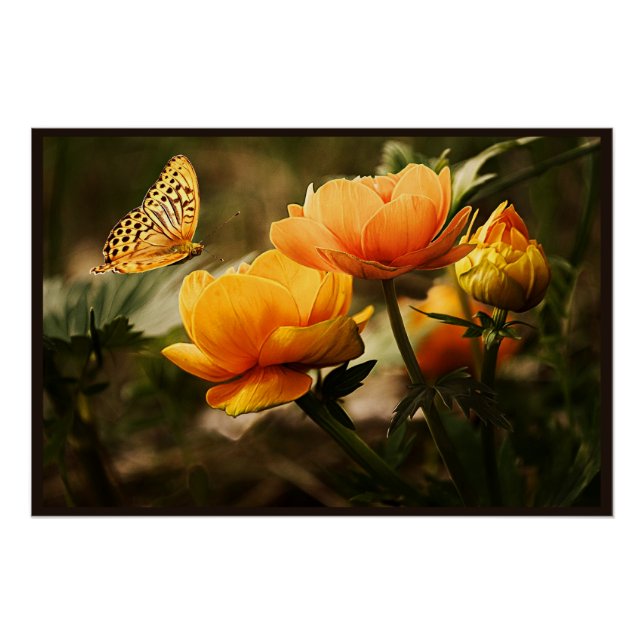 Póster Flores de oro y mariposa (Anverso)