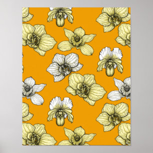 Póster Flores de orquídea amarilla y blanca