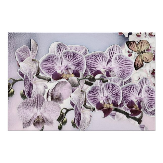 Póster Flores de orquídea y dibujos de mariposas lindos r (Anverso)