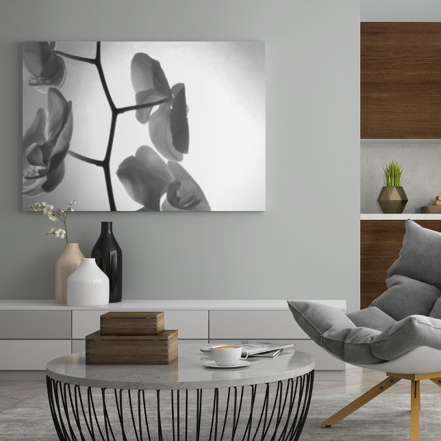 Póster Flores de orquídeas blancas y negras sobre el tall (Subido por el creador)