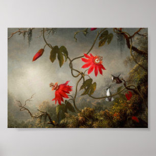 Póster Flores de pasión con cabeza de Hummingbirds