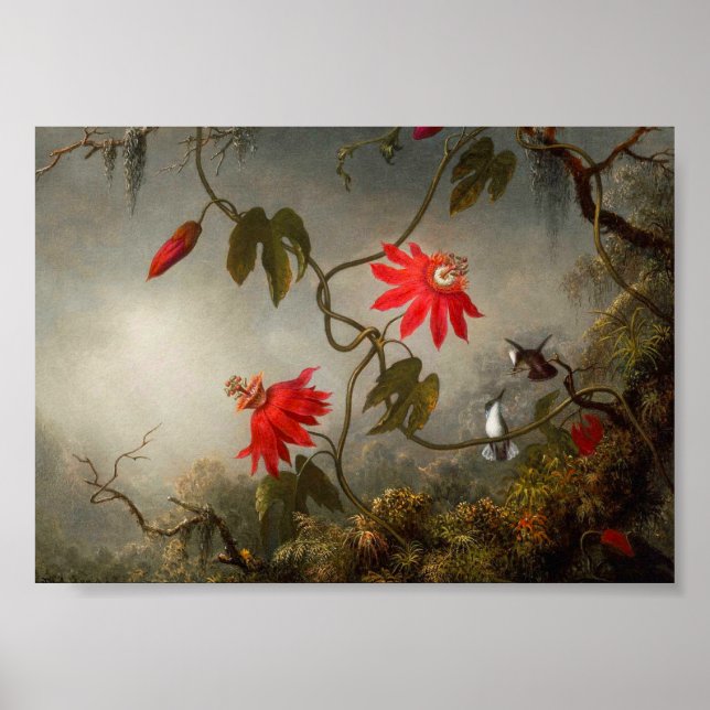 Póster Flores de pasión con cabeza de Hummingbirds (Frente)