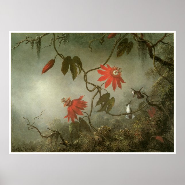 Póster Flores de pasión y colibríes (Frente)