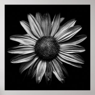 Póster Flores De Patio Trasero En Blanco Y Negro 18
