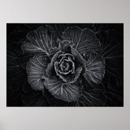 Póster Flores De Patio Trasero En Blanco Y Negro No 108
