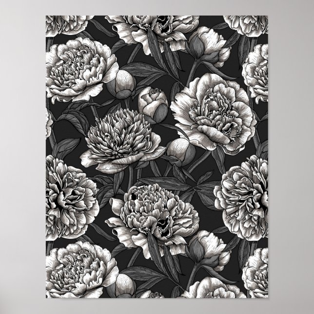 Póster Flores de peonía blanca en gris oscuro (Frente)
