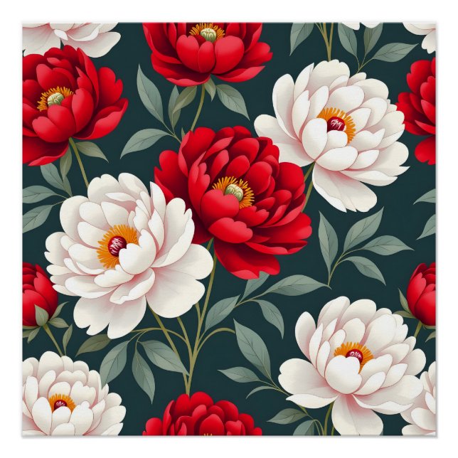 Póster Flores de peonía rojas y blancas (Anverso)