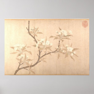 Póster Flores de peral antigüedad Oriental ca.1280