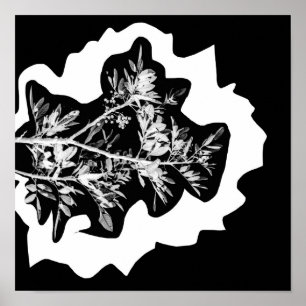 Póster Flores de pimentón dejan Poster natural