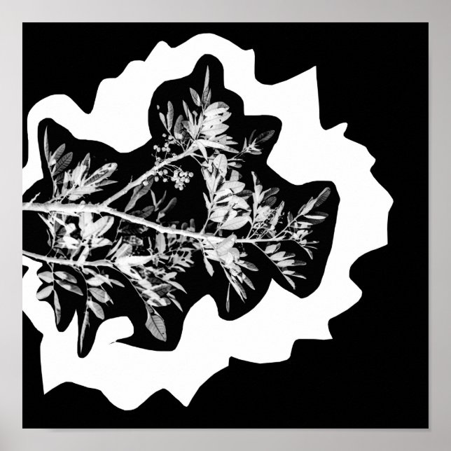 Póster Flores de pimentón dejan Poster natural (Frente)