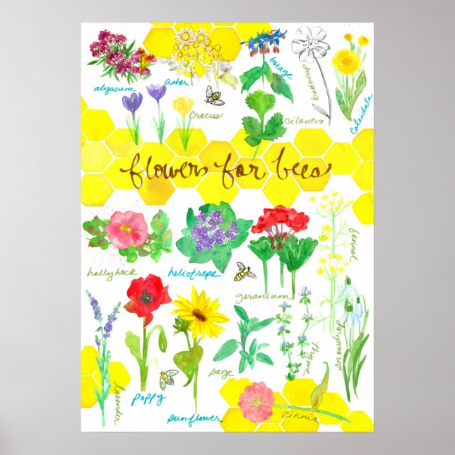 Póster Flores De Plantas Para Las Abejas Honeycomb Waterc (Frente)