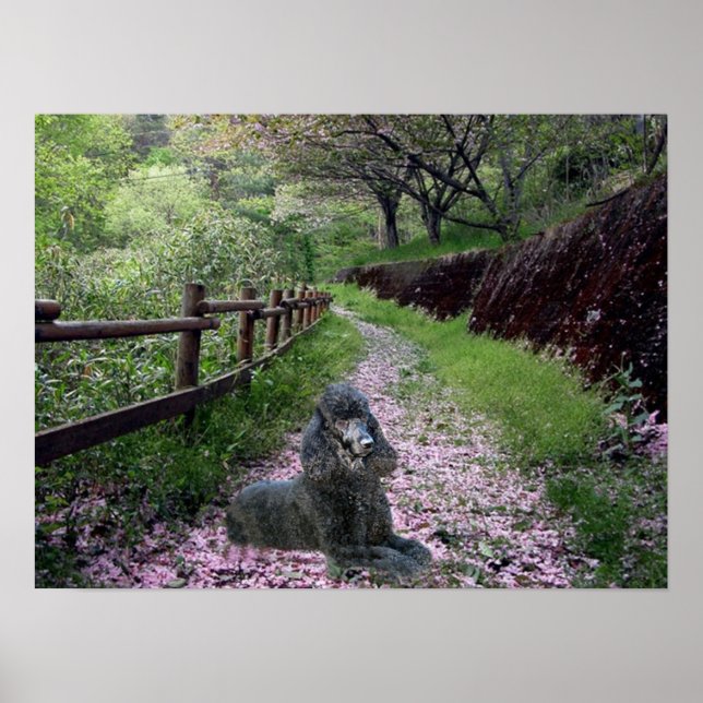 Póster Flores de Poster negro de canapé (Frente)