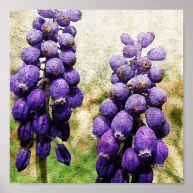 Póster Flores de primavera (Frente)