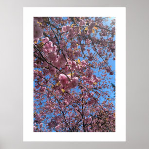 Póster Flores de primavera