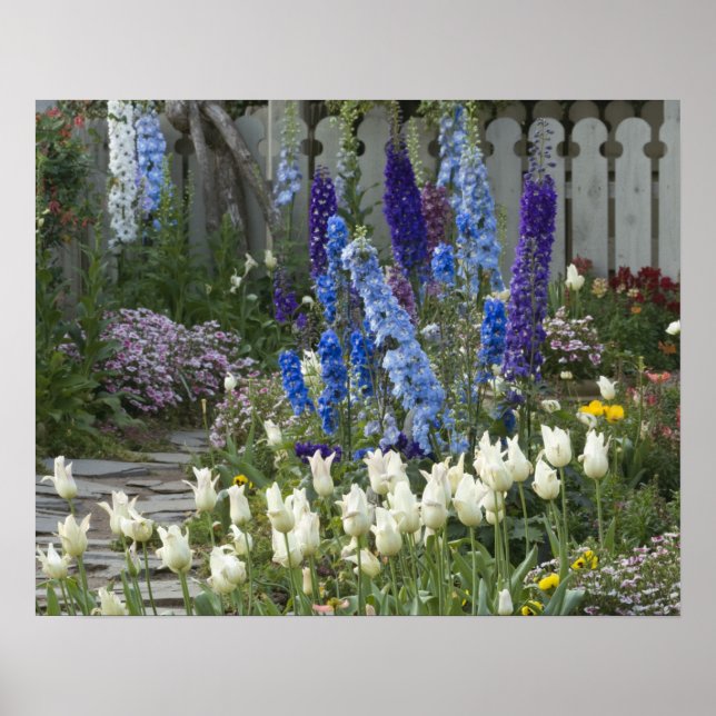 Póster Flores de primavera a lo largo de un camino de jar (Frente)