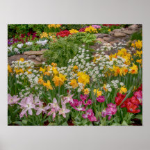 Flores de primavera coloridas de 16x12 en plena fl